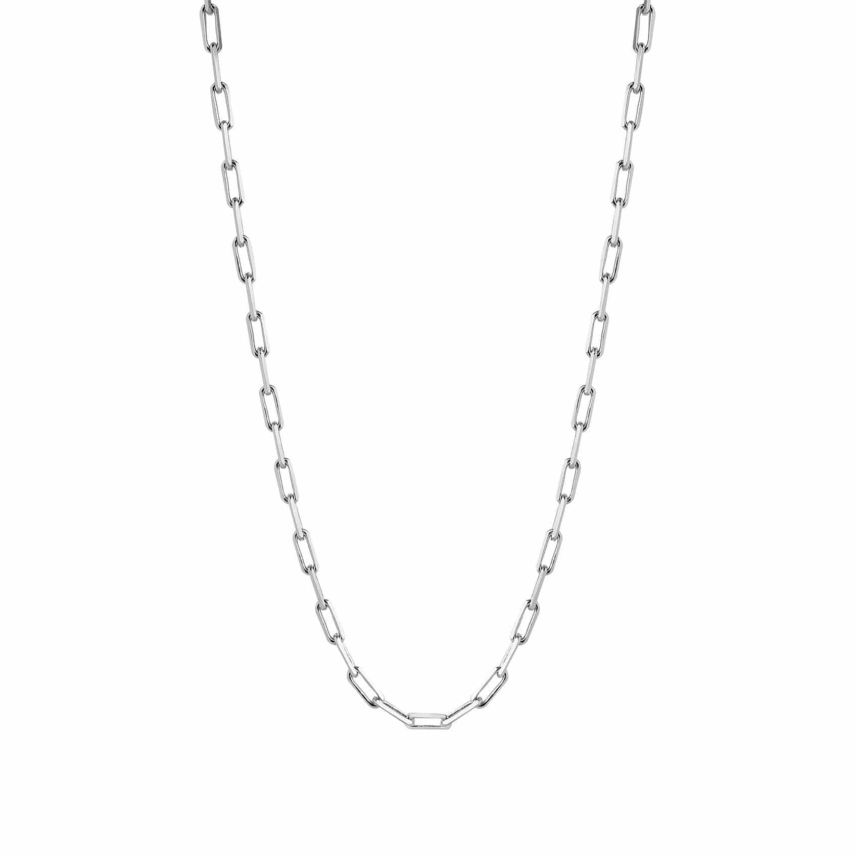 silver necklace long link