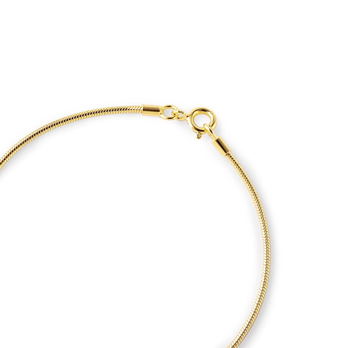 close-up Gold plated Bracelet Round Link