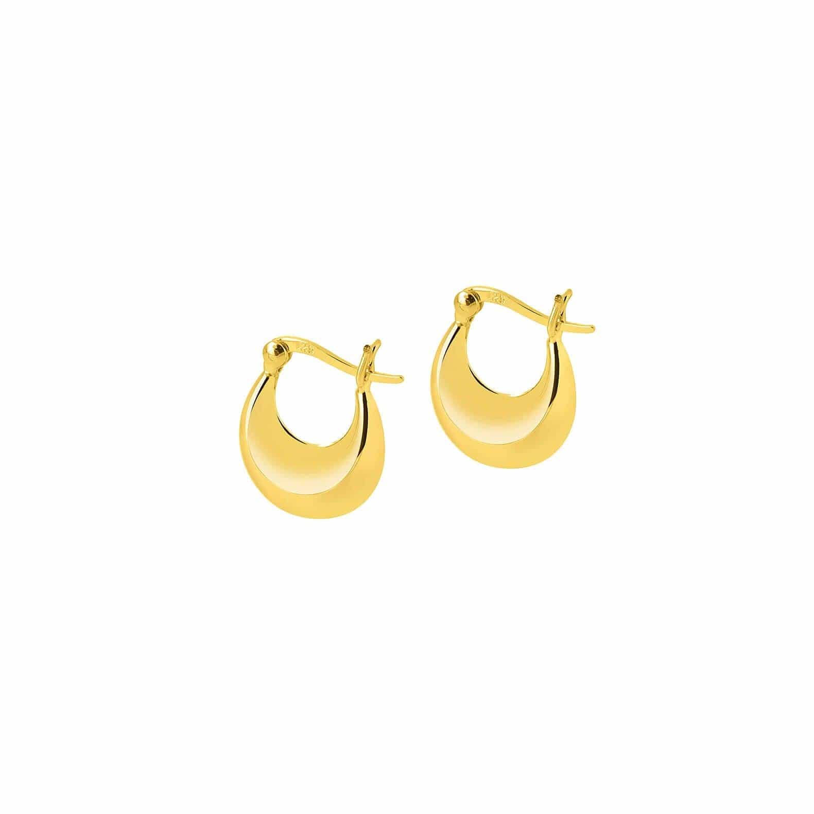 Small Gold Plated Indian Hoop Earrings