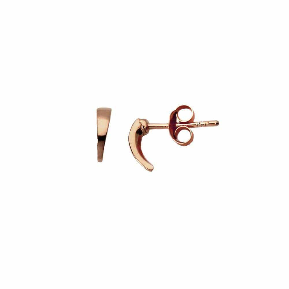 Rose Gold Hook Stud Earrings
