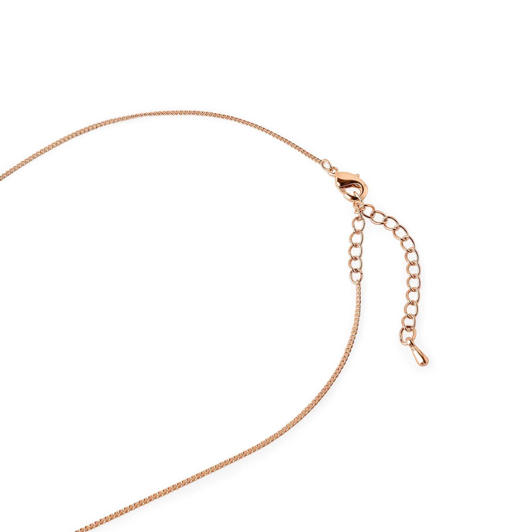 rose gold plated necklace with double circle