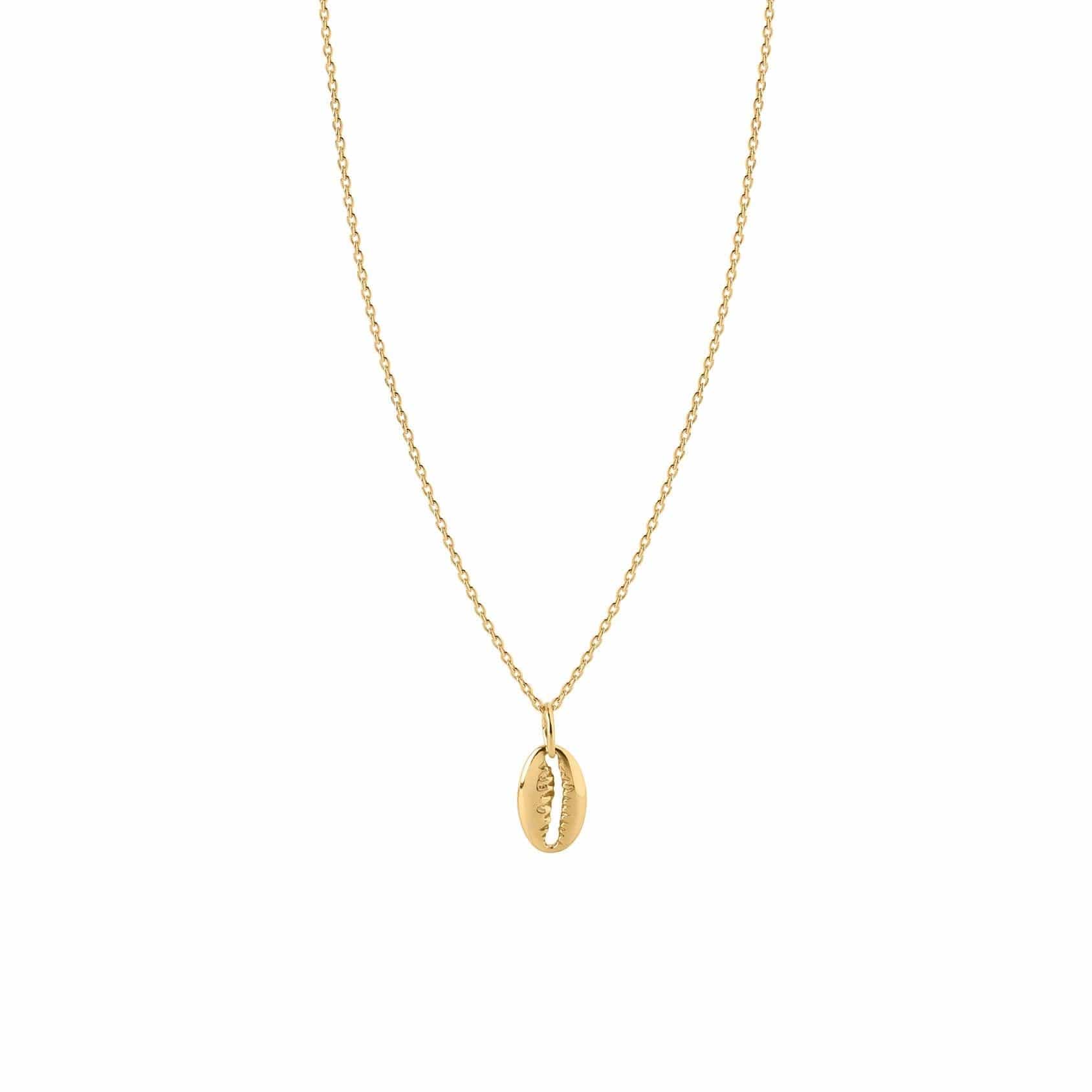 gold plated necklace with clam