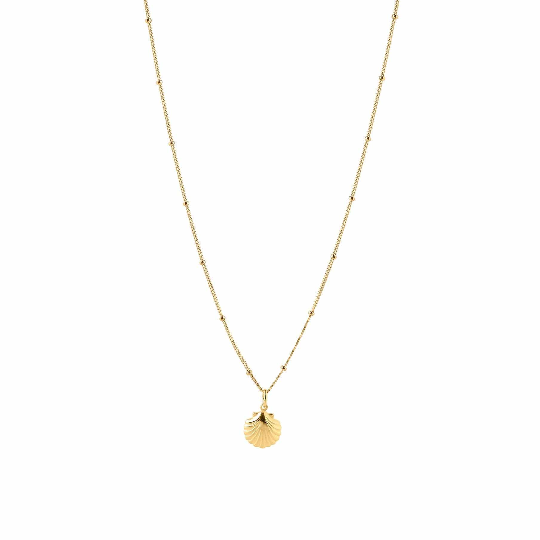 gold plated necklace with sea shell