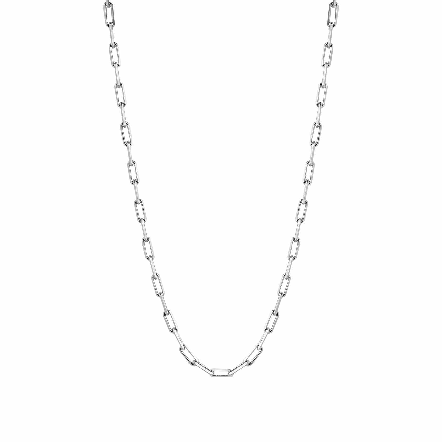 silver necklace long link